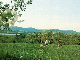 Cycling through Champlain Valley apple orchards.