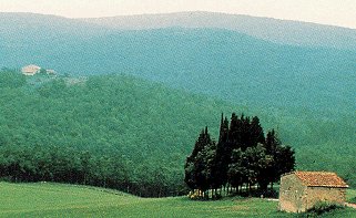 The countryside of Tuscany.