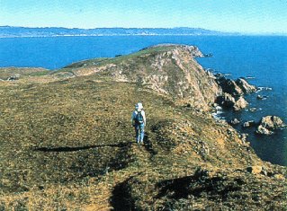 Climbing a cliff to enjoy the view.