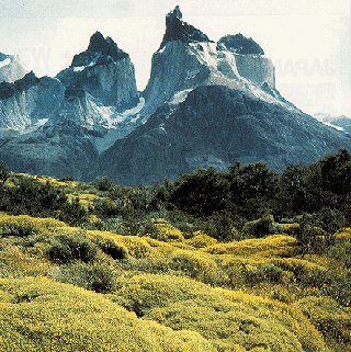 The Torres del Paine in Patagonia.